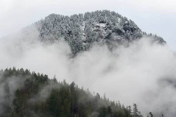 North Bend United States Fog Clouds Rolling Snow Covered Mountains —  Fotos de Stock