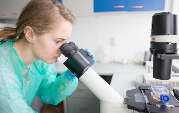 Ung Kvinna Studerar Mikroskop Beteendet Hos Virus Som Attackerar Människokroppen — Stockfoto
