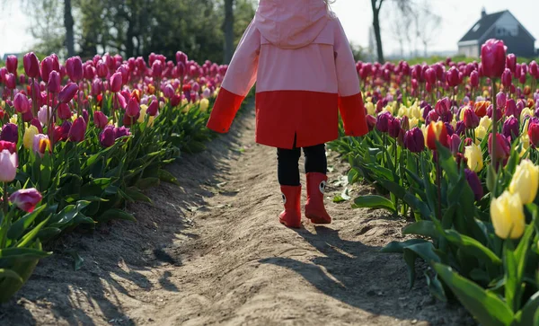 Beautiful Little Girl Tulips Garden — Stockfoto