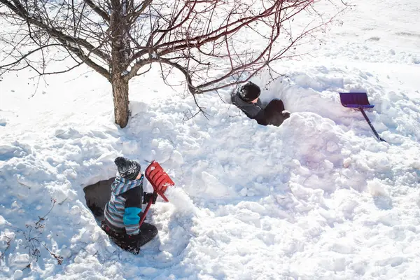 Dois Meninos Construindo Fortes Neve Com Pás Dia Ensolarado Inverno — Fotografia de Stock