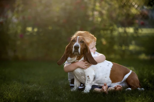 Niño Pequeño Sentado Abrazando Perro Perro Perro Patio Trasero Hierba —  Fotos de Stock