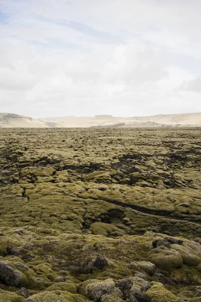 苔はアイスランドのエルドラグーンにある溶岩の岩を覆っていた — ストック写真