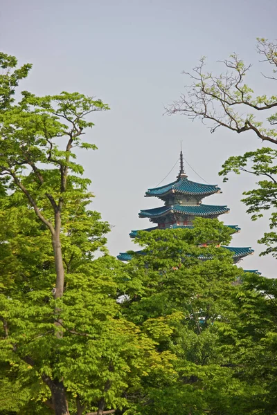 Pagoda Royal Palace Seoul South Korea — Stock Photo, Image