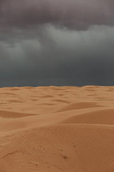 Pustynny Krajobraz Wydmami Wydmą Namibowej Dolinie Stanów Zjednoczonych — Zdjęcie stockowe