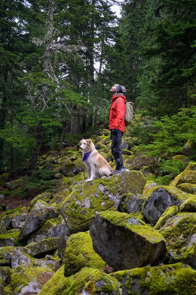 Young Man Dog Forest — Stock Photo, Image