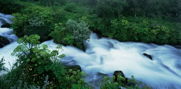 River Iceland Holmatungu Nature Background — Stock Photo, Image