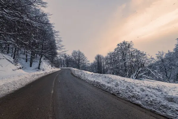 Mountain Winter Road Forest — Stock Photo, Image