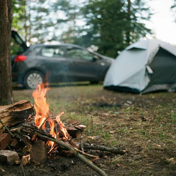Campground Bonfire Close — Stock Photo, Image