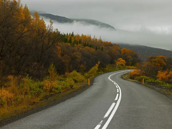 Beautiful Road Mountains Nature Background — Stock Photo, Image