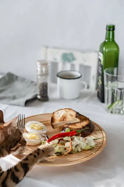 Gekochtes Und Croutons Mit Salat Auf Einem Holzteller Schneiden Den — Stockfoto
