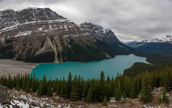 Peyto Lake Bergskedja Kanada — Stockfoto