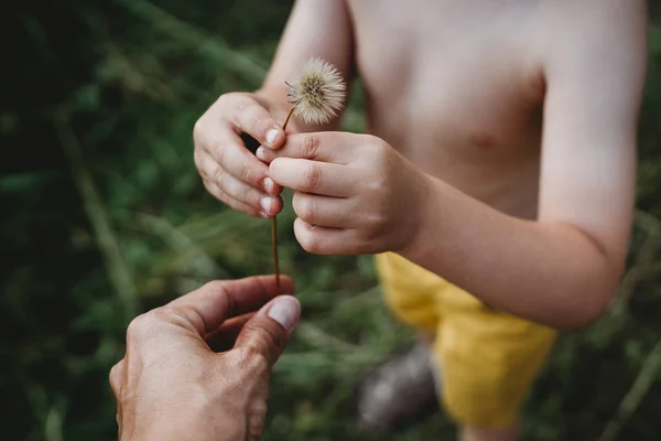 Happy Little Boy Meadow — Stock Photo, Image