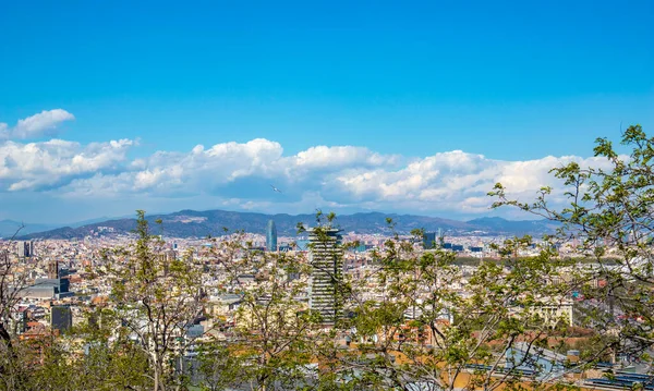 Panoramic View Mountain Landscape Houses — Stok fotoğraf