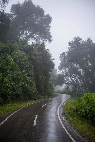 Road Driving Forest Mountains Foggy Day — Stock Photo, Image