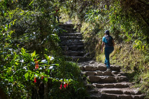 Frau Steigt Auf Inka Pfad Nahe Machu Picchu Treppe Hinauf — Stockfoto