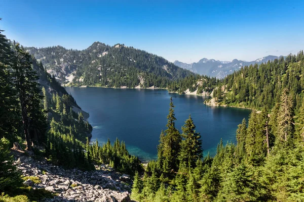 Pohled Sněžné Jezero Skrz Věčně Zelené Stromy — Stock fotografie