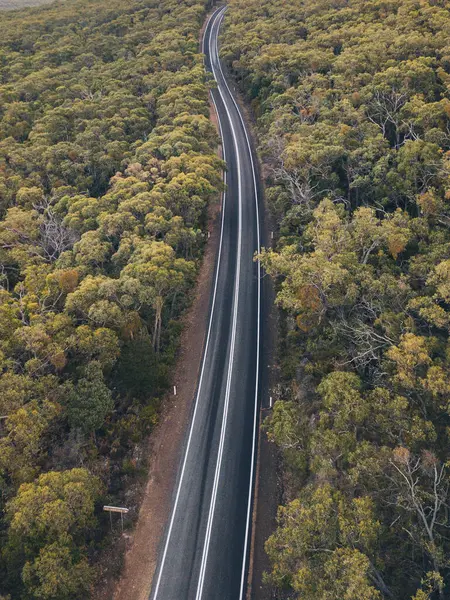 Winding Road Lush Forest Grampians National Park Victoria Australia — Foto Stock