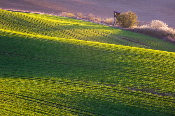 Vigilância Caça Paisagem Rural Região Turiec Eslováquia — Fotografia de Stock