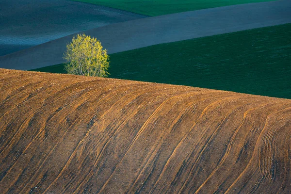 Rural Landscape Turiec Region Northern Slovakia — Stock Photo, Image