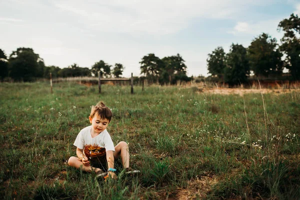 Мальчик Сидящий Открытом Поле Собирающий Цветы — стоковое фото