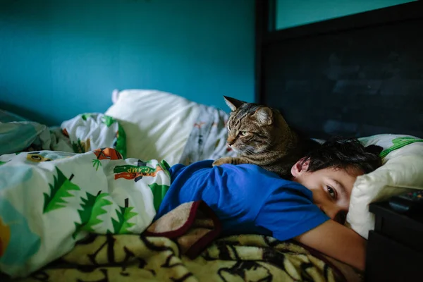 Tekir Kedi Sabah Uyandığında Bir Çocuğun Sırtında Yatıyor — Stok fotoğraf