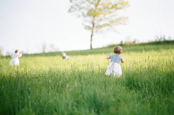 Ein Analoges Foto Von Kleinen Mädchen Die Auf Einen Baum — Stockfoto