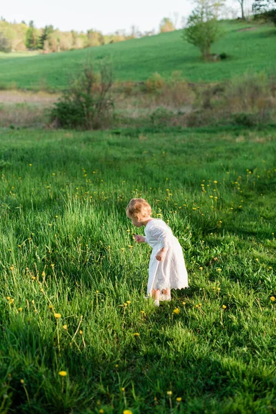 Portrait Little Girl Exploring Field — Stock Photo, Image