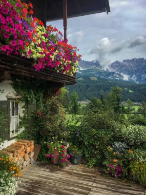 Ahşap balkon arka planda Wilder Kaiser Dağları ile yaz çiçekleri tam