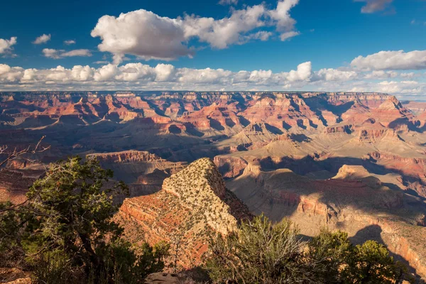 Gran Mirador Parque Nacional Del Gran Cañón Una Tarde Soleada — Foto de Stock