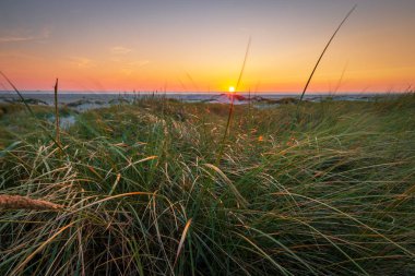 St. Peter-Ording, Almanya Kuzey Denizi Beach kumulları gün batımı