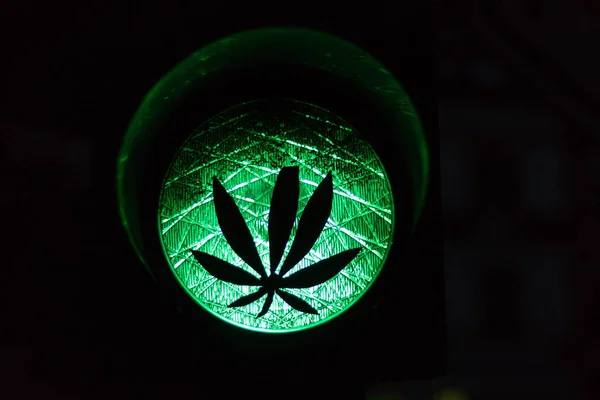 Növény Zöld Lámpánál Mint Egy Szimbólum Kannabisz Vagy Marihuána Legalizálása — Stock Fotó