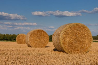 Yaz aylarında güneşli bir öğleden sonra anız sahada saman balya