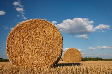 Yaz aylarında güneşli bir öğleden sonra anız sahada saman balya