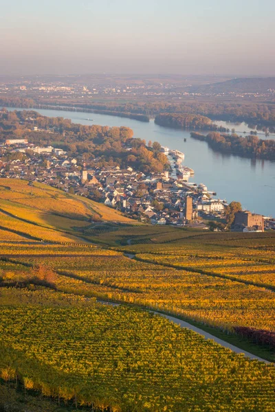 View Niederwalddenkmal Ruedesheim River Rhine Region Rheinhessen — Stock Photo, Image