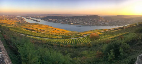 Rheingau, Bingen şehir ve Rheinhessen panoramik Niederwalddenkmal üzerinden