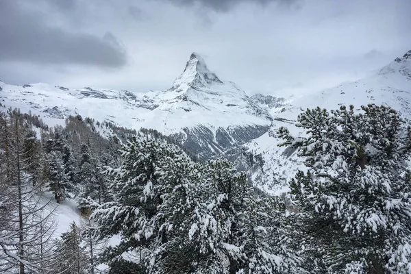 Góra Matterhorn Przed Pochmurnego Nieba Śniegiem Pokryte Drzewami — Zdjęcie stockowe