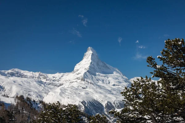 Majestatycznego Matterhornu Przed Błękitne Niebo Śniegiem Pokryte Drzewami Ośrodku Narciarskim — Zdjęcie stockowe