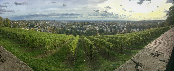 Wiesbaden, Duitsland gezien vanaf Neroberg — Stockfoto