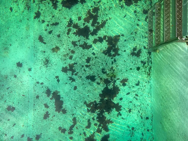 Dirty swimming pool in spring after winter season