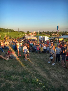 Weinfest im Kirchenst��ck ��� a fair about wine in Mainz Hechtsh