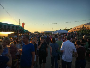 Weinfest im Kirchenst��ck ��� a fair about wine in Mainz Hechtsh