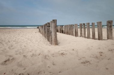 Domburg plaj direkleri wavebreaker, Hollanda