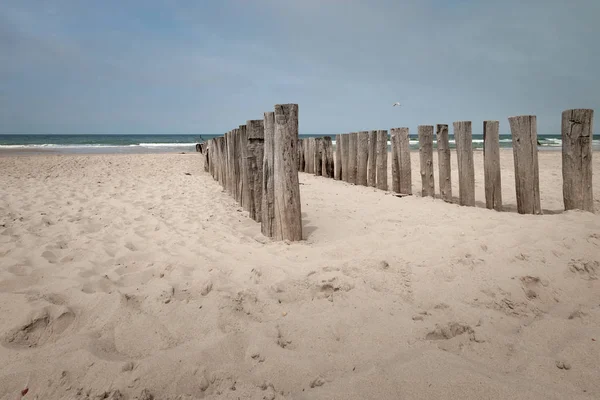 Beach Poles wavebreaker i Domburg, Nederländerna — Stockfoto