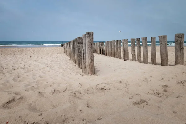 Strand poler bølgebryder i Domburg, Holland - Stock-foto