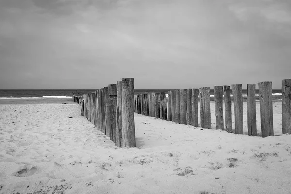 Pali da spiaggia wavebreaker a Domburg, Paesi Bassi in nero e — Foto Stock