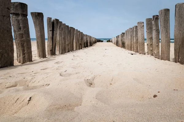 Волнолом на пляжных полюсах в Домбурге, Нидерланды — стоковое фото