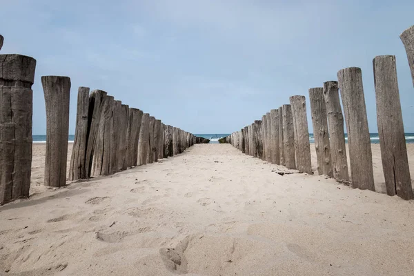 Beach poles wavebreaker in Domburg, the Netherlands — Stock Photo, Image