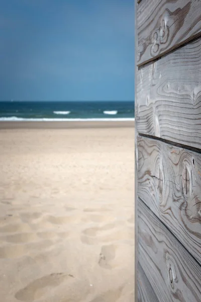 Estate: Legno con patina grigia davanti alla spiaggia sabbiosa — Foto Stock