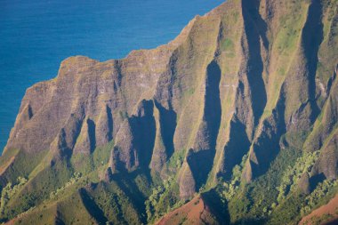 Na Pali Sahili'ndeki sırtın yakın çekimi, Kauai, Hawaii, Abd