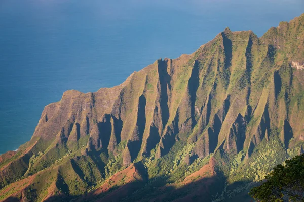 Close-up of ridge at Na Pali Coast, Kauai, Hawaii, USA — Stock Photo, Image
